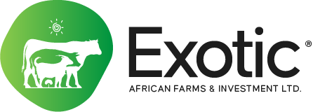 Exotic African Farm